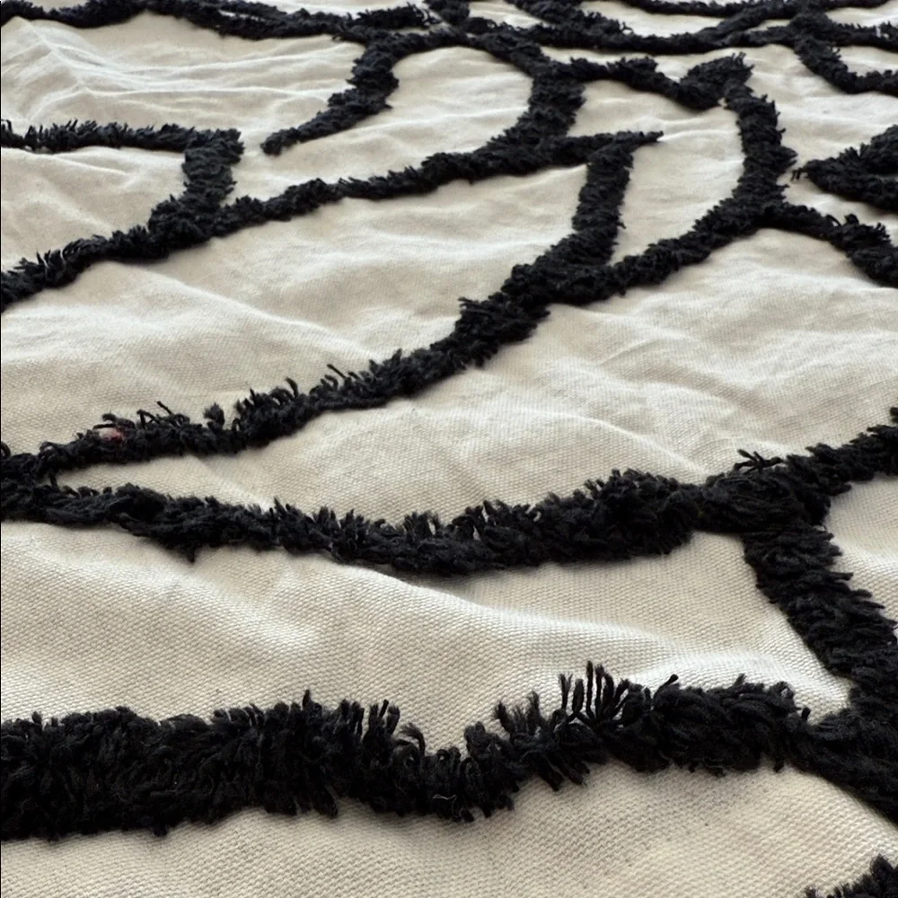 Really fun Black and White shower curtain